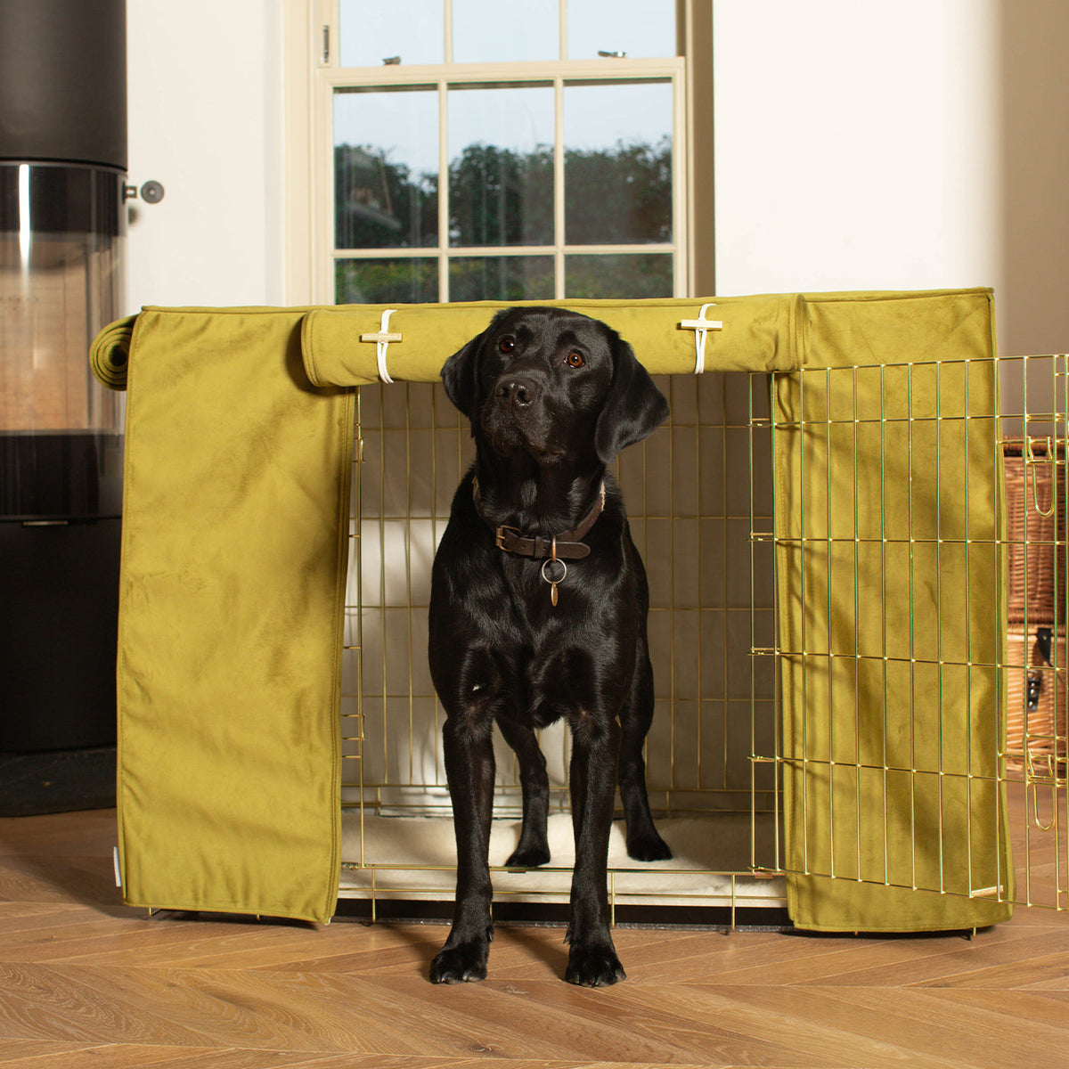 Dog Crate Cover In Olive Velvet