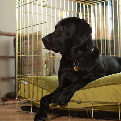 Dog Cushion in Olive Velvet, view 3
