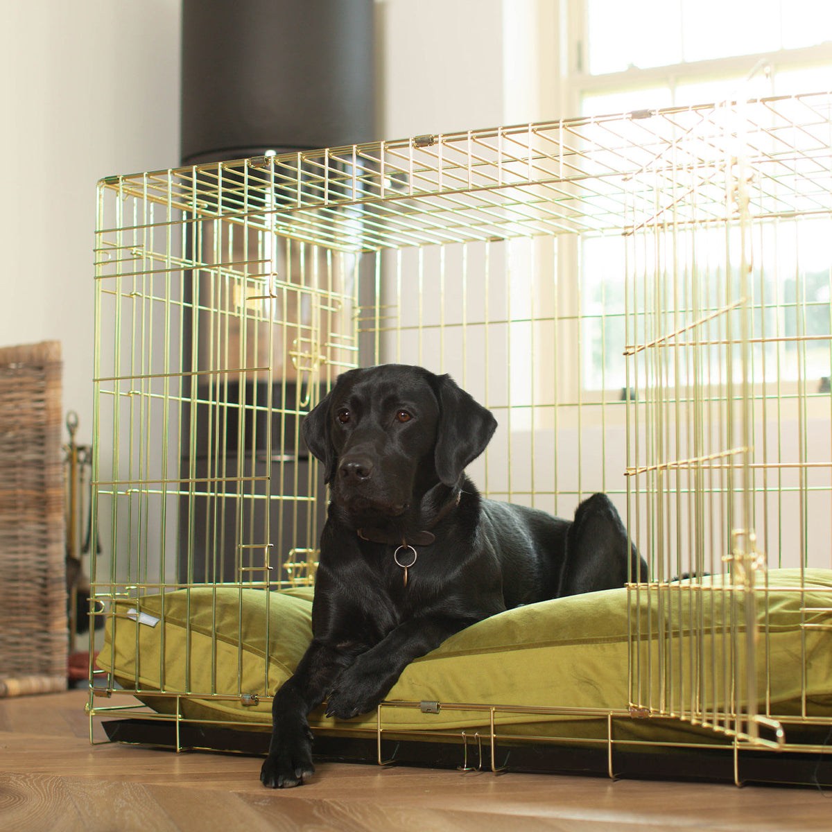 Dog Cushion in Olive Velvet