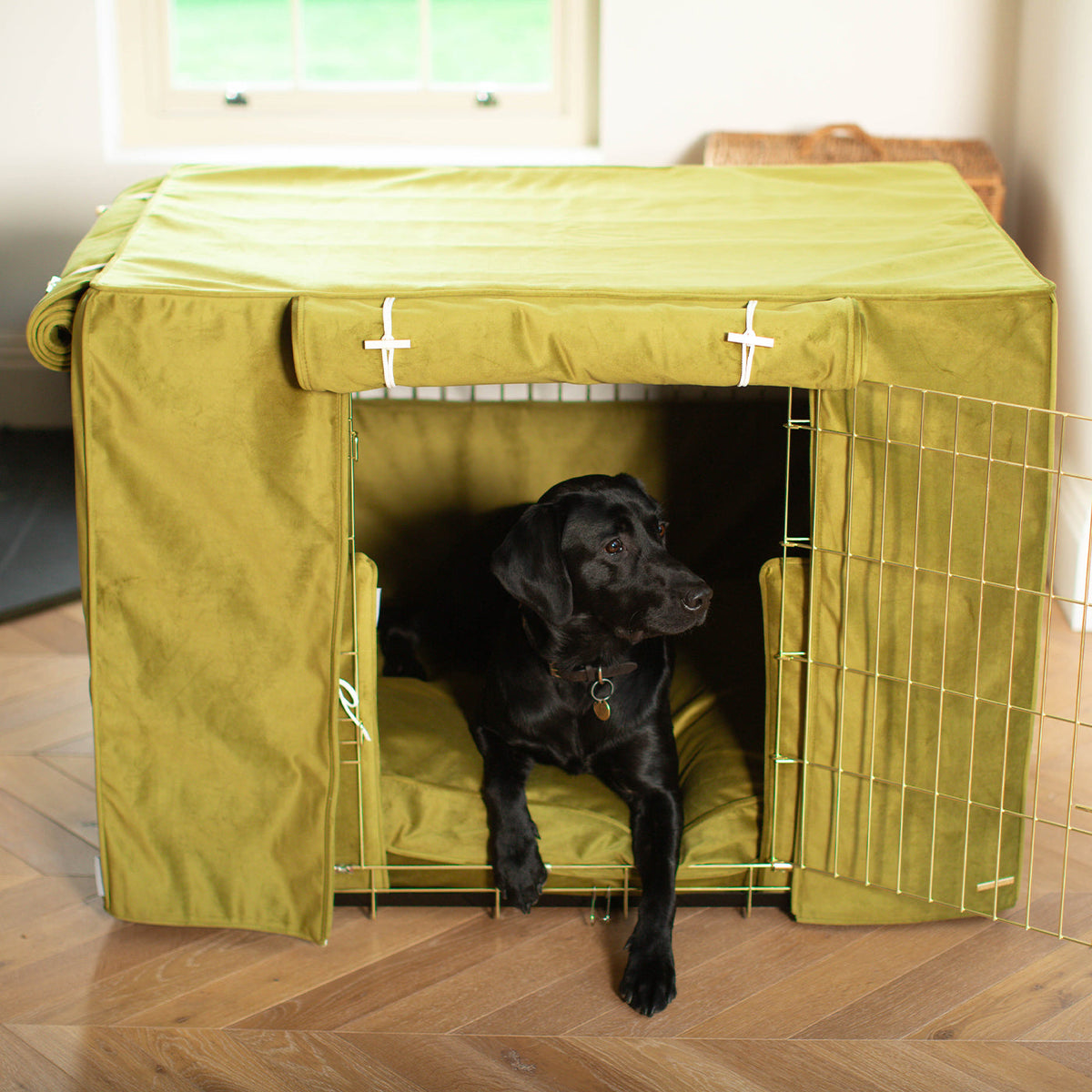Dog Crate Set In Olive Velvet, view 2