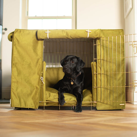 Dog Crate Set In Olive Velvet