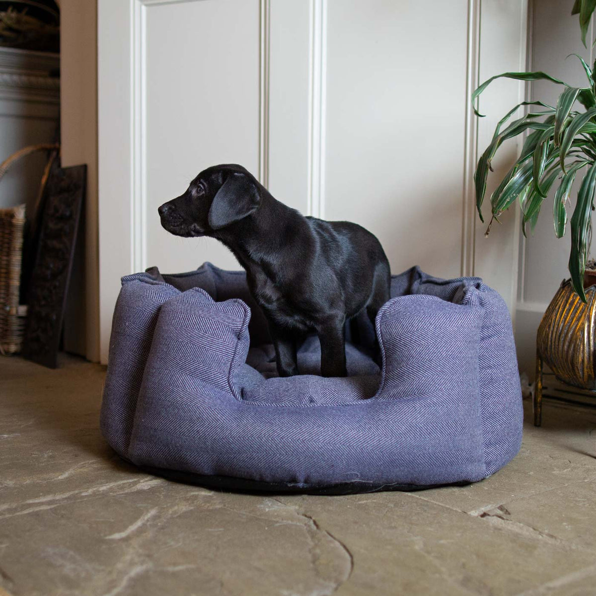 High Wall Bed With Removable Covers in Oxford Herringbone Tweed, view 3