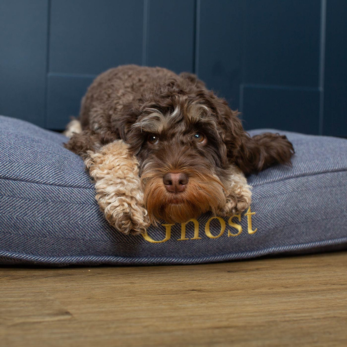 Dog Cushion in Oxford Herringbone Tweed, view 9