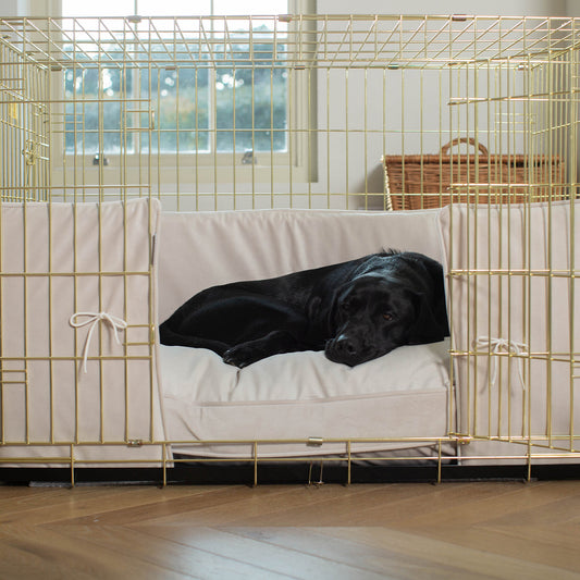 Dog Crate with Cushion & Bumper in Oyster Velvet