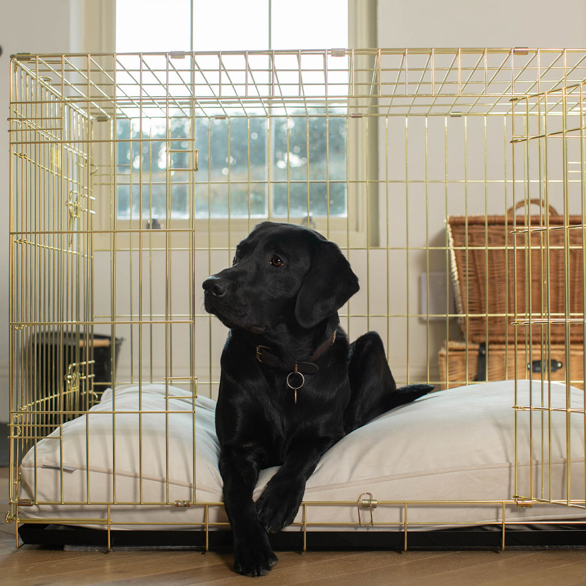 Dog Cushion in Oyster Velvet, view 3