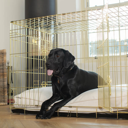 Dog Cushion in Oyster Velvet