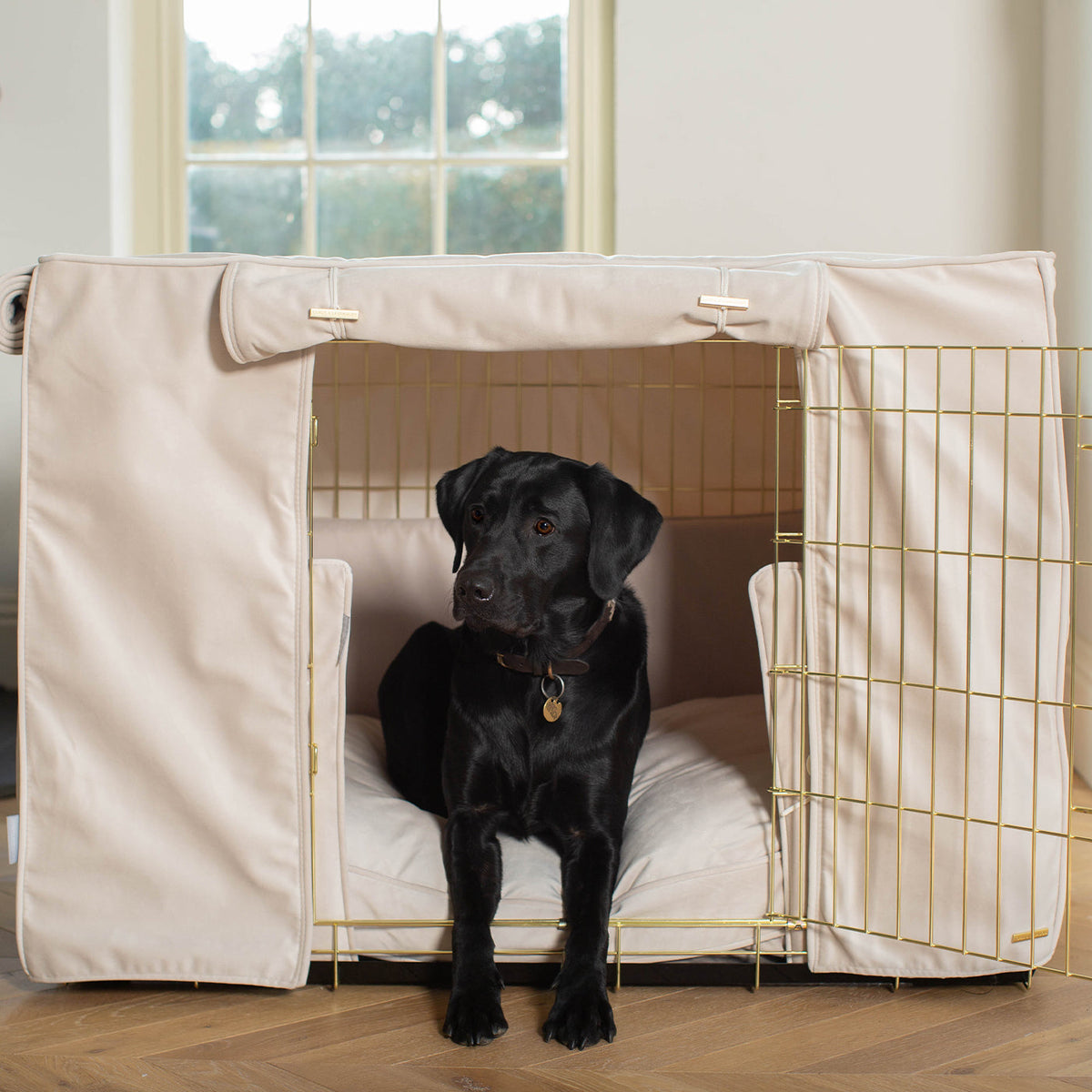 Dog Crate Set In Oyster Velvet, view 4
