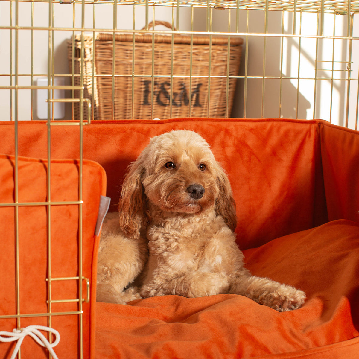 Dog Crate with Cushion & Bumper in Pumpkin Velvet, view 4