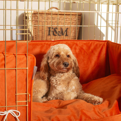 Dog Crate with Cushion & Bumper in Pumpkin Velvet, view 4
