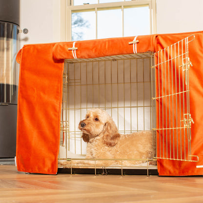Dog Crate Cover In Pumpkin Velvet, view 2