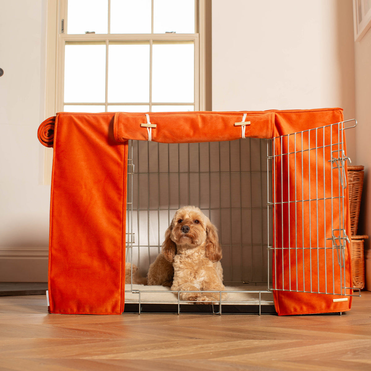 Dog Crate with Crate Cover in Pumpkin Velvet