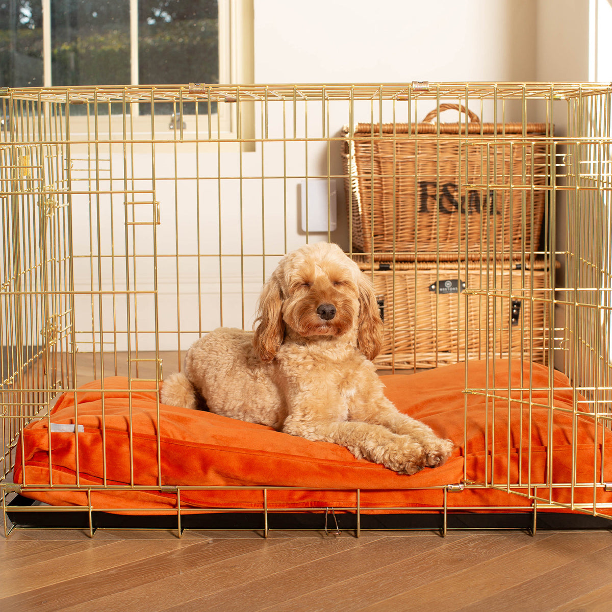 Dog Cushion in Pumpkin Velvet, view 5