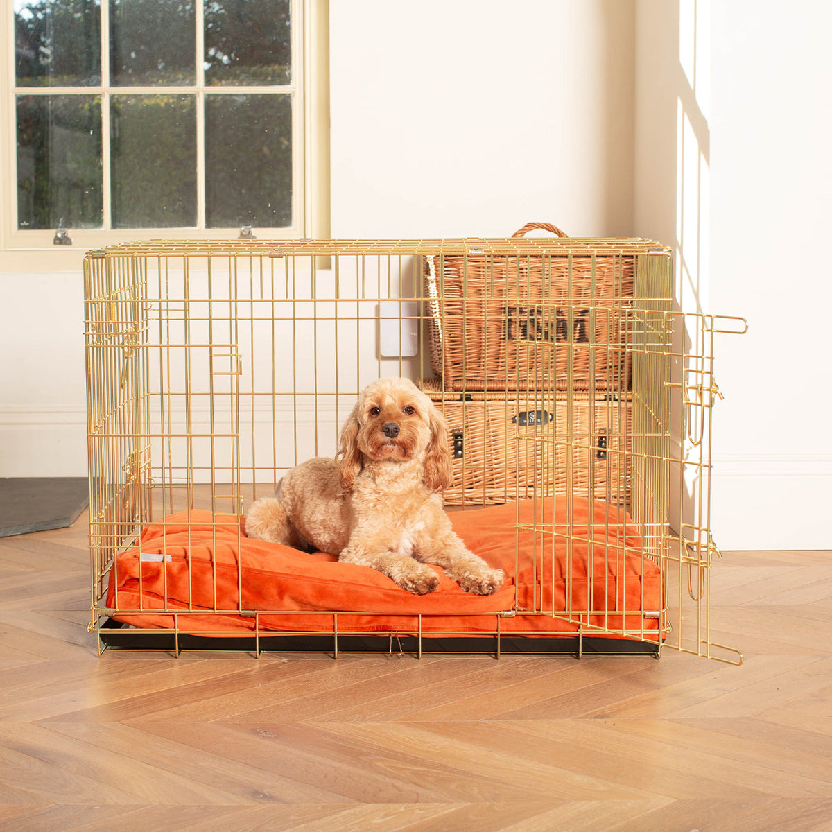Dog Cushion in Pumpkin Velvet, view 4