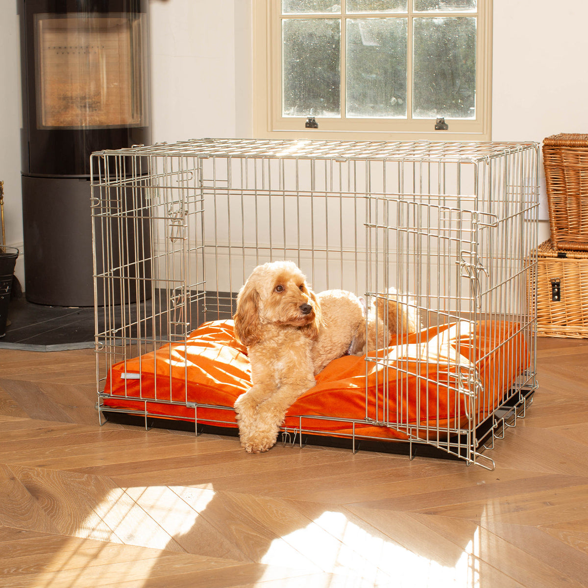 Dog Cushion in Pumpkin Velvet, view 3