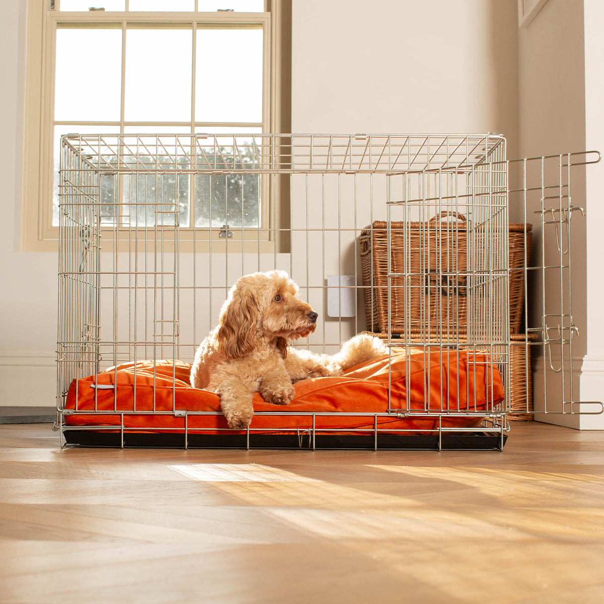 Dog Cushion in Pumpkin Velvet