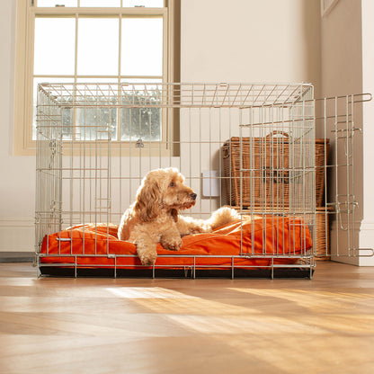 Dog Cushion in Pumpkin Velvet