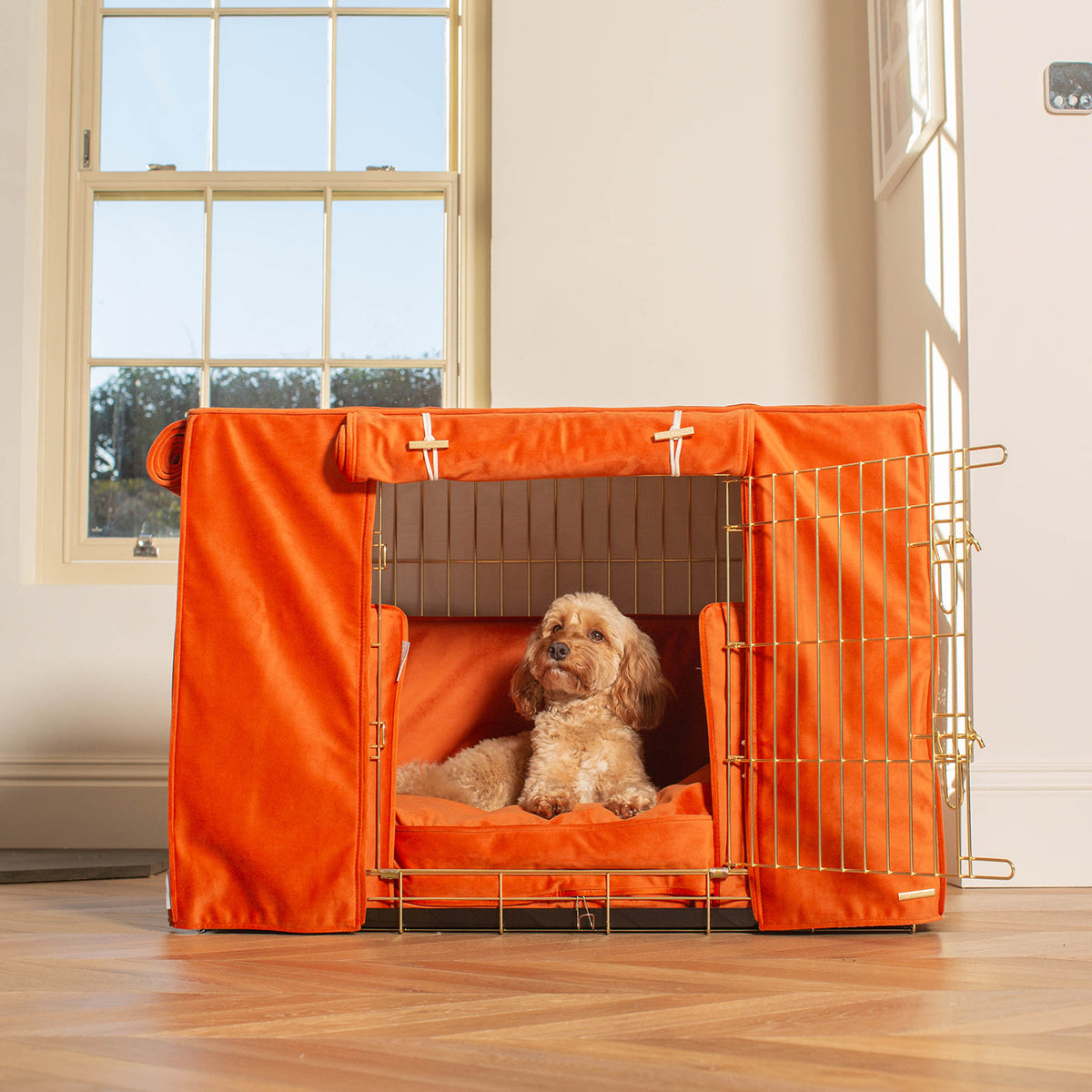 Dog Crate Set In Pumpkin Velvet, view 3