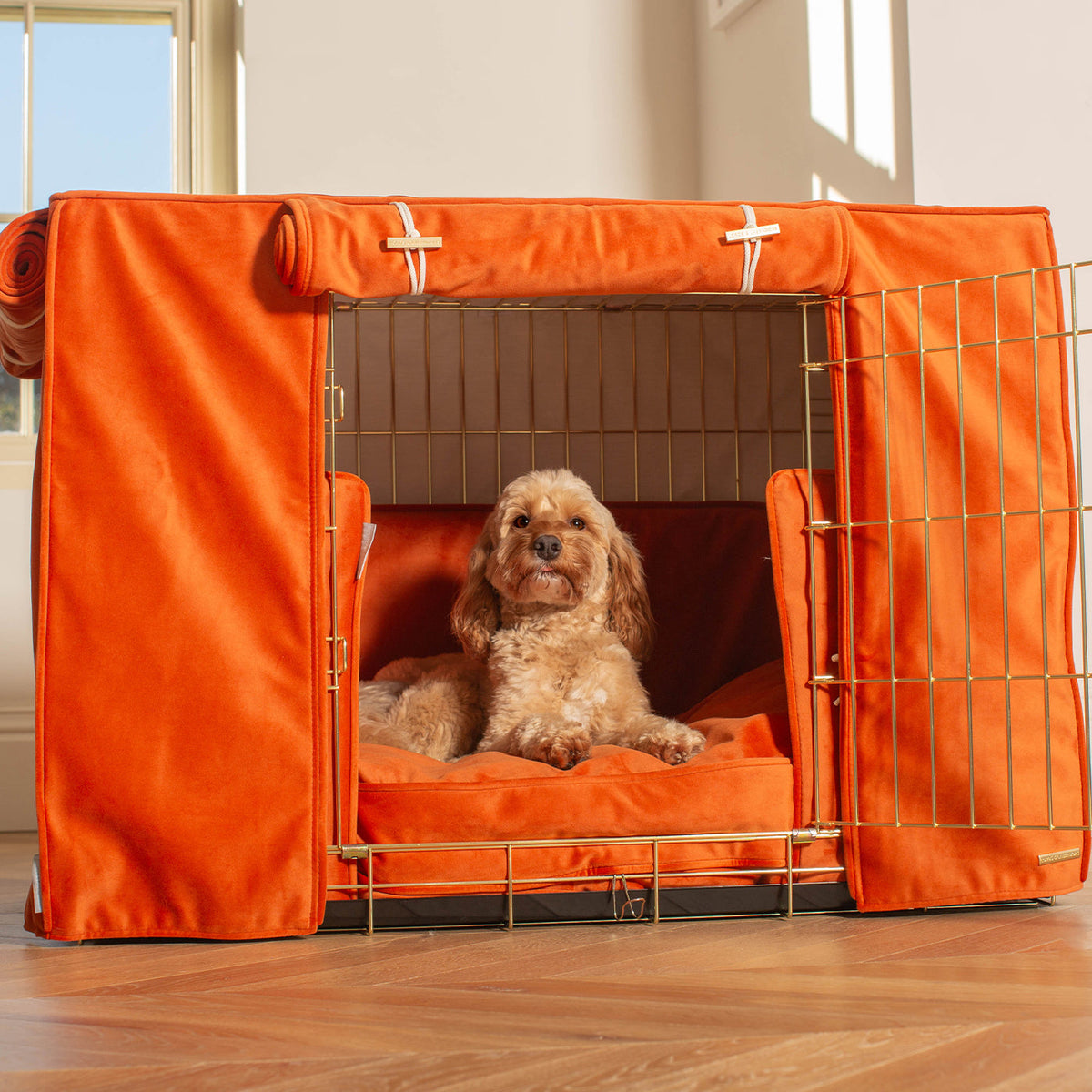 Dog Crate Set In Pumpkin Velvet, view 4