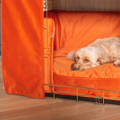 Dog Crate Set In Pumpkin Velvet, view 5