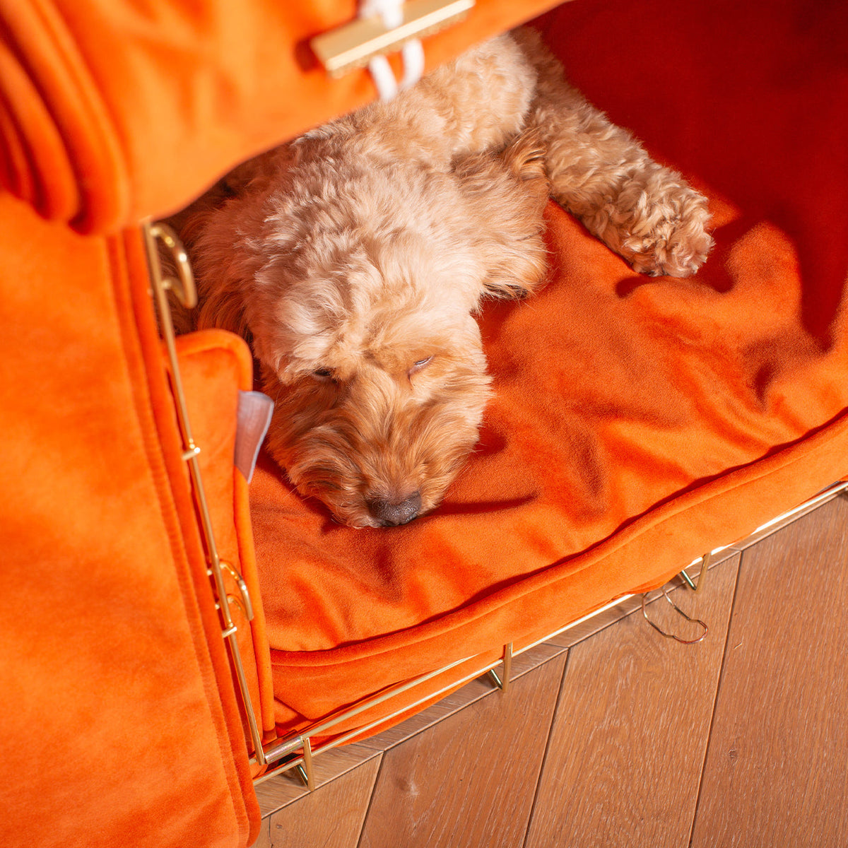 Dog Crate Set In Pumpkin Velvet, view 6