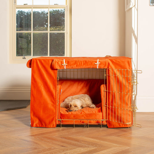 Dog Crate Set In Pumpkin Velvet