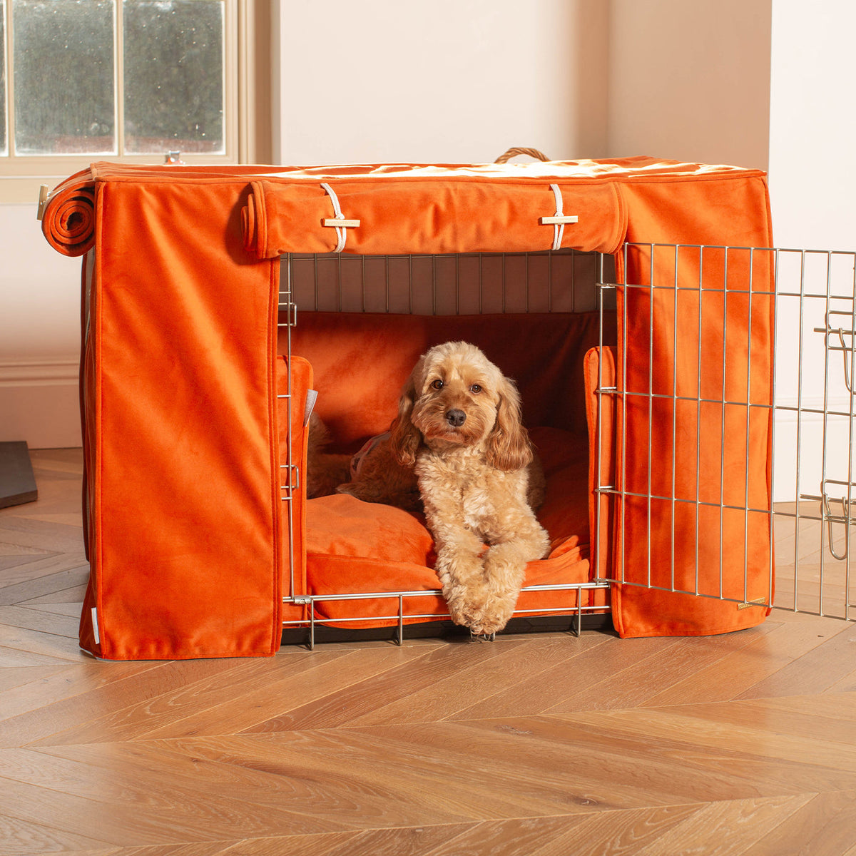 Dog Crate Set In Pumpkin Velvet, view 8