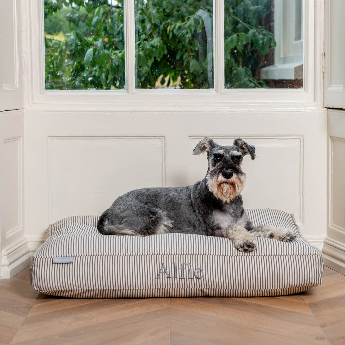 Dog Cushion in Regency Stripe, view 9