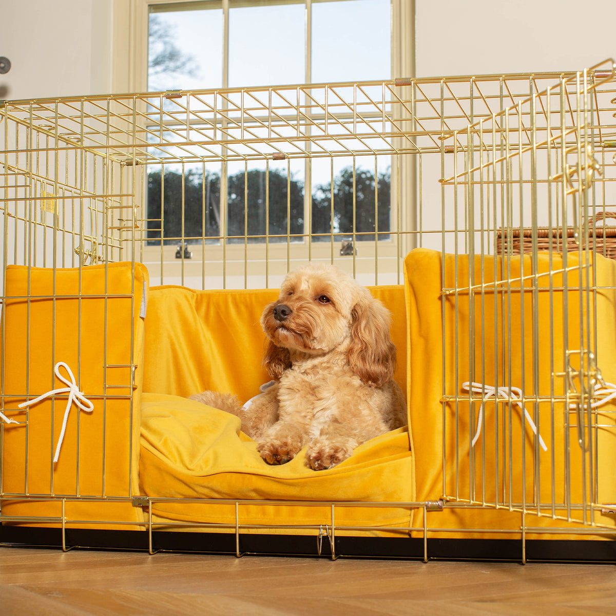 Dog Crate with Cushion & Bumper in Saffron Velvet, view 4