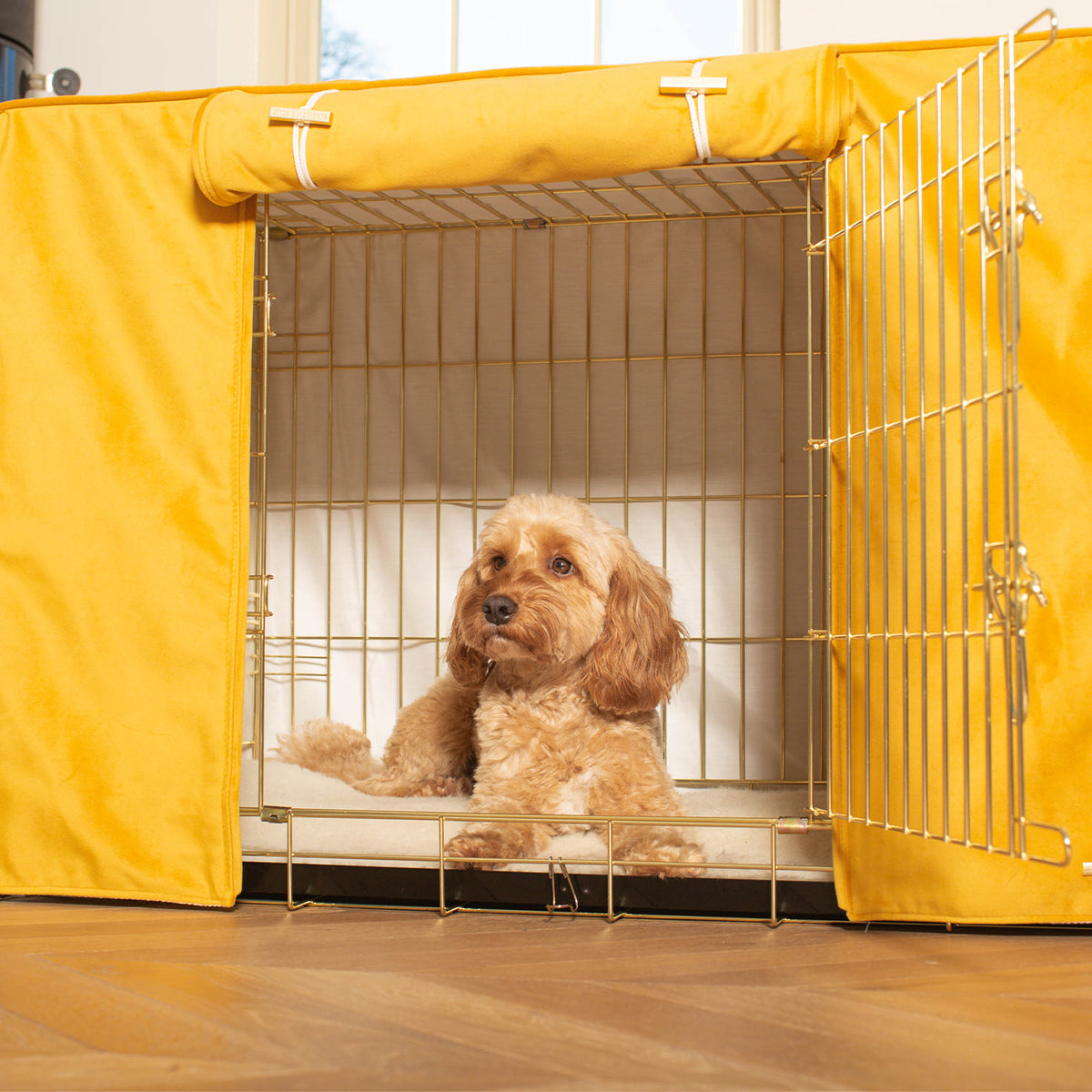 Dog Crate with Crate Cover in Saffron Velvet, view 2