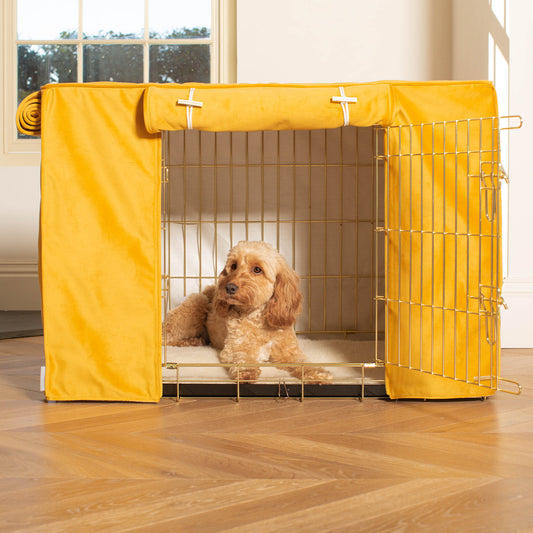 Dog Crate Cover In Saffron Velvet