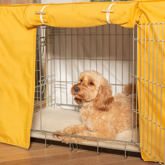 Dog Crate with Crate Cover in Saffron Velvet