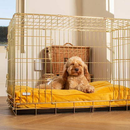 Dog Cushion in Saffron Velvet, view 4