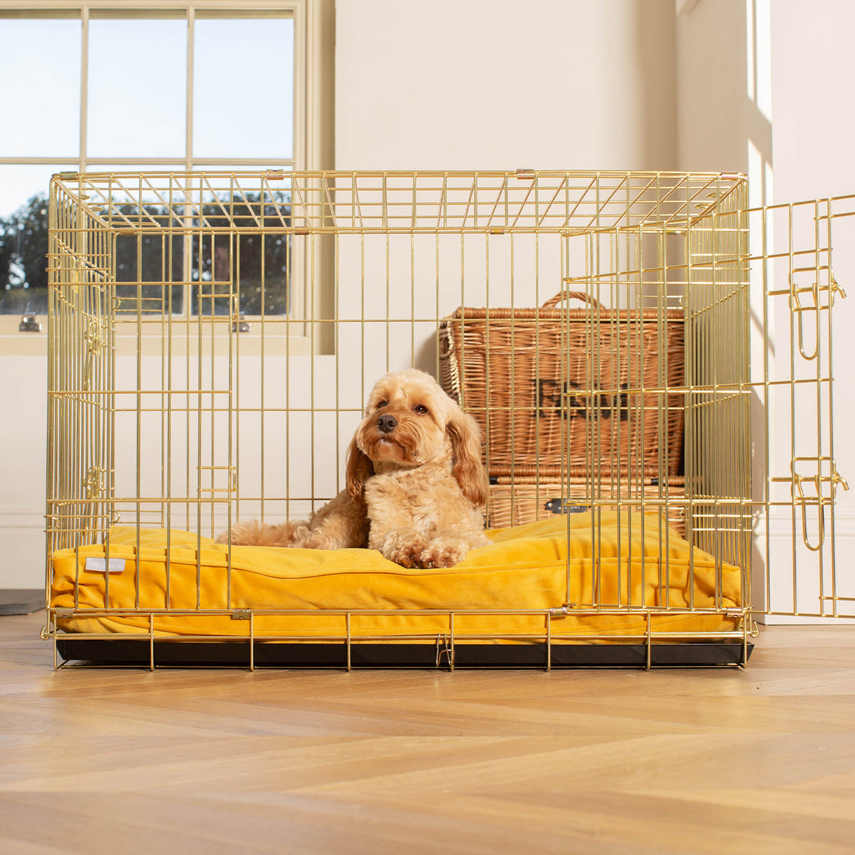 Dog Cushion in Saffron Velvet, view 5