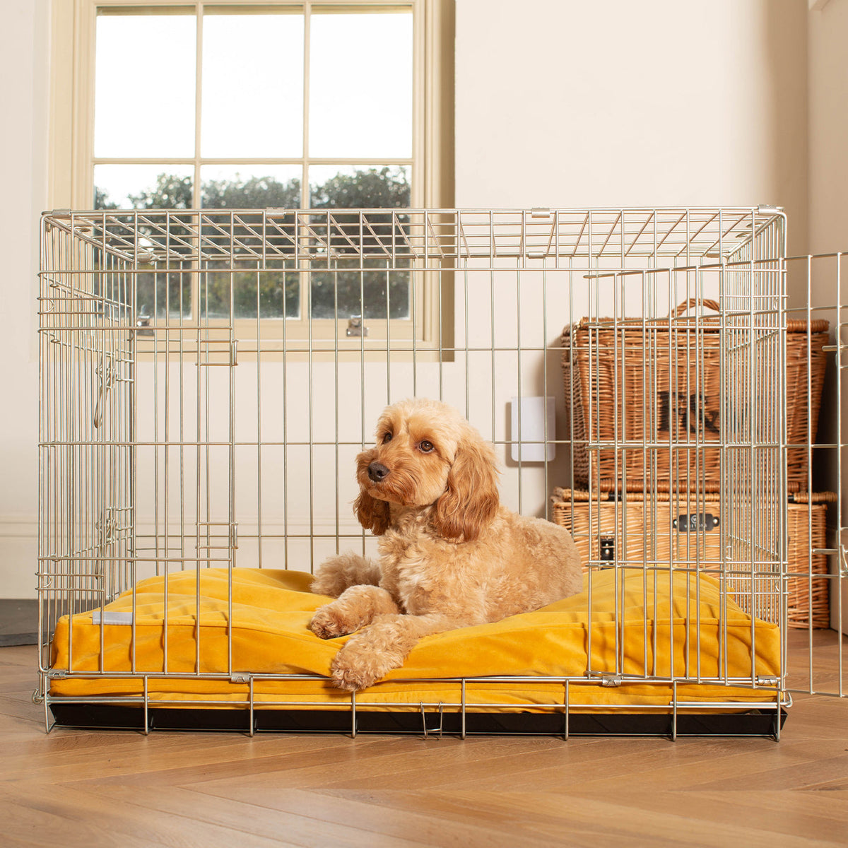 Dog Cushion in Saffron Velvet