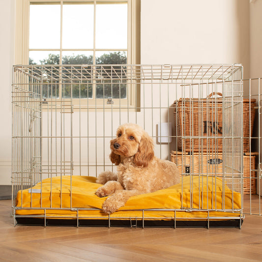 Dog Cushion in Saffron Velvet