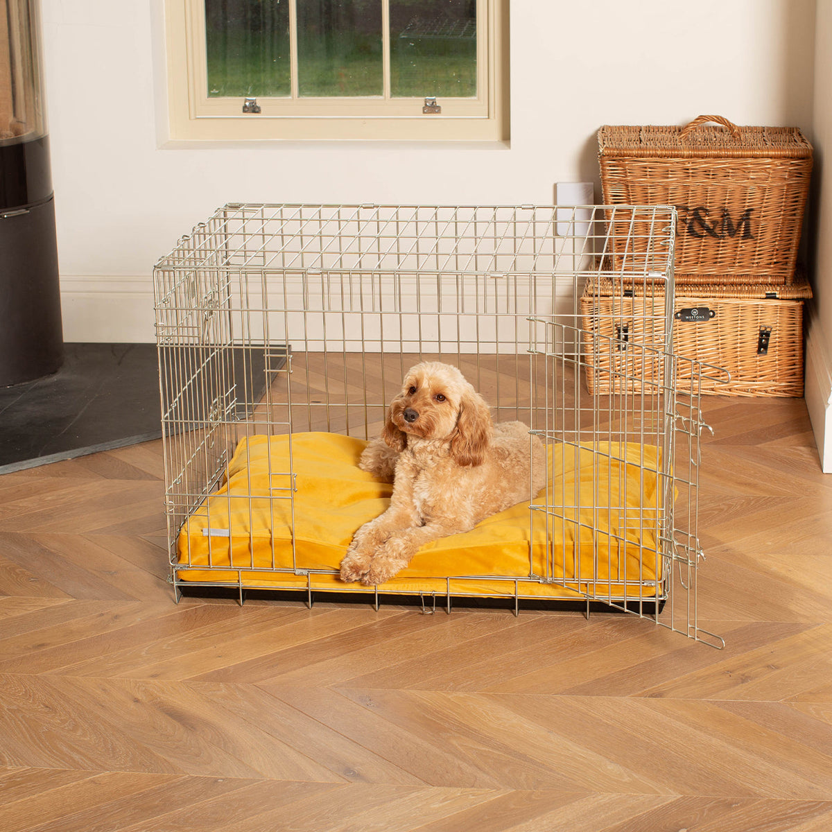 Dog Cushion in Saffron Velvet, view 3