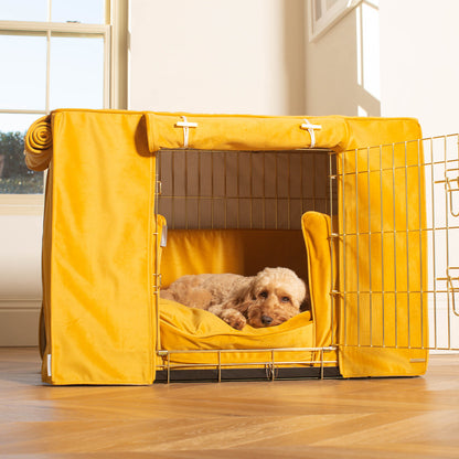 Dog Crate Set In Saffron Velvet