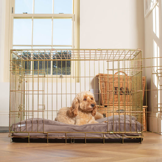 Dog Cushion in Silt Velvet