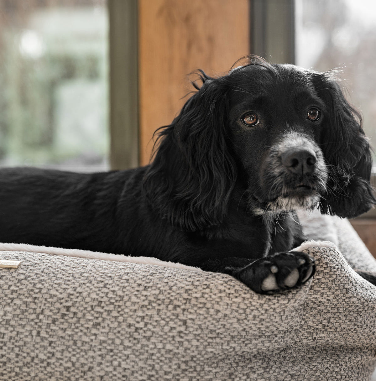 Essentials Herdwick Box Bed in Pebble, view 3