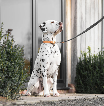 Essentials Herdwick Dog Lead in Graphite