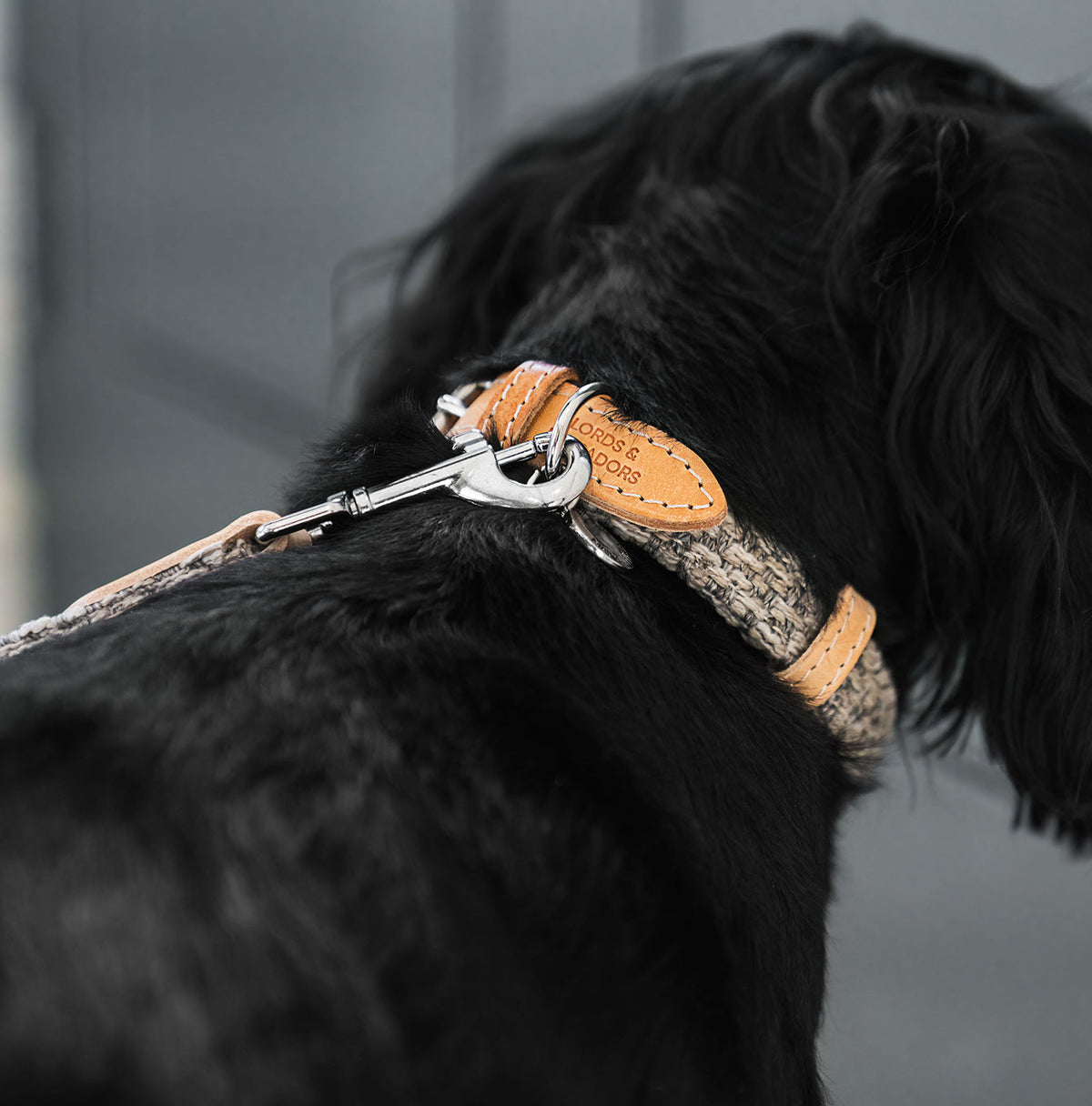 Essentials Herdwick Dog Collar in Pebble, view 5