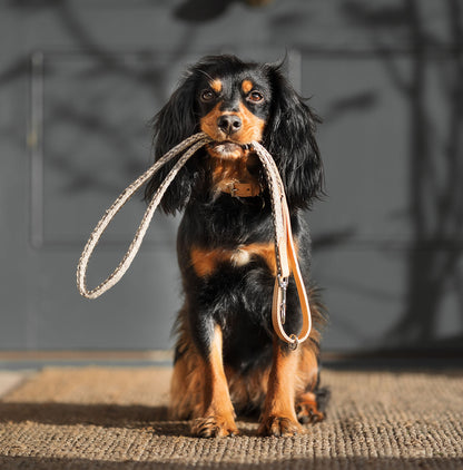 Essentials Herdwick Dog Lead in Pebble