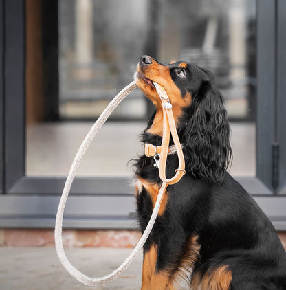 Essentials Herdwick Dog Lead in Sandstone