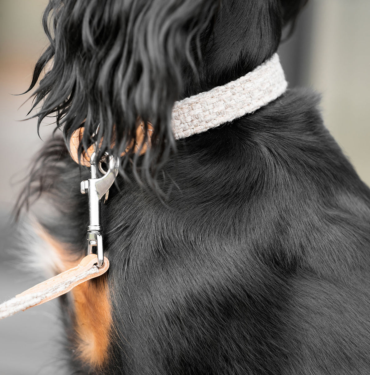Essentials Herdwick Dog Lead in Sandstone, view 5