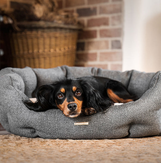 Essentials Herdwick Oval Bed in Graphite