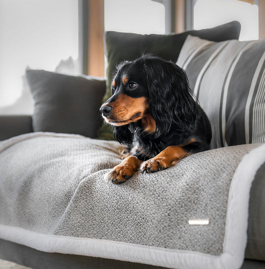 Essentials Herdwick Blanket in Pebble
