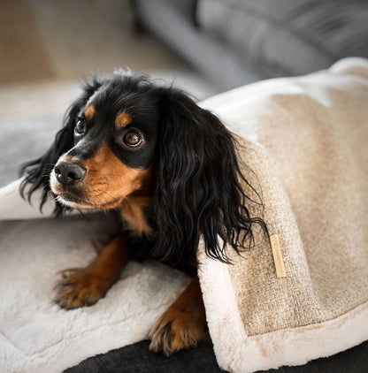 Essentials Herdwick Blanket in Sandstone
