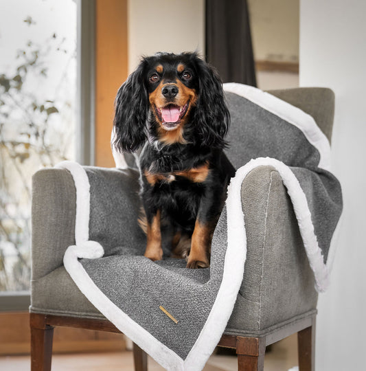 Essentials Herdwick Blanket in Graphite