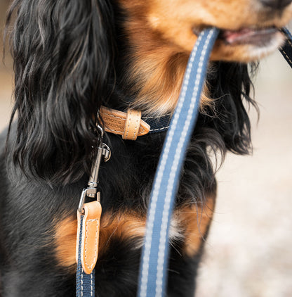 Essentials Twill Dog Collar in Denim, view 5