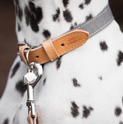 Essentials Twill Dog Collar in Slate, view 4